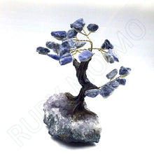 Load image into Gallery viewer, Sodalite Gemstone Tree in Amethyst Base
