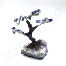 Load image into Gallery viewer, Sodalite Gemstone Tree in Amethyst Base
