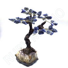 Load image into Gallery viewer, Sodalite Gemstone Tree in Amethyst Base
