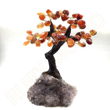 Load image into Gallery viewer, Carnelian Gemstone Trees with Amethyst Base
