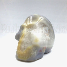 将图片加载到图库查看器，Agate Skull Head
