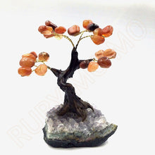 将图片加载到图库查看器，Carnelian Gemstone Trees with Amethyst Base
