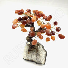 Load image into Gallery viewer, Carnelian Gemstone Trees with Amethyst Base
