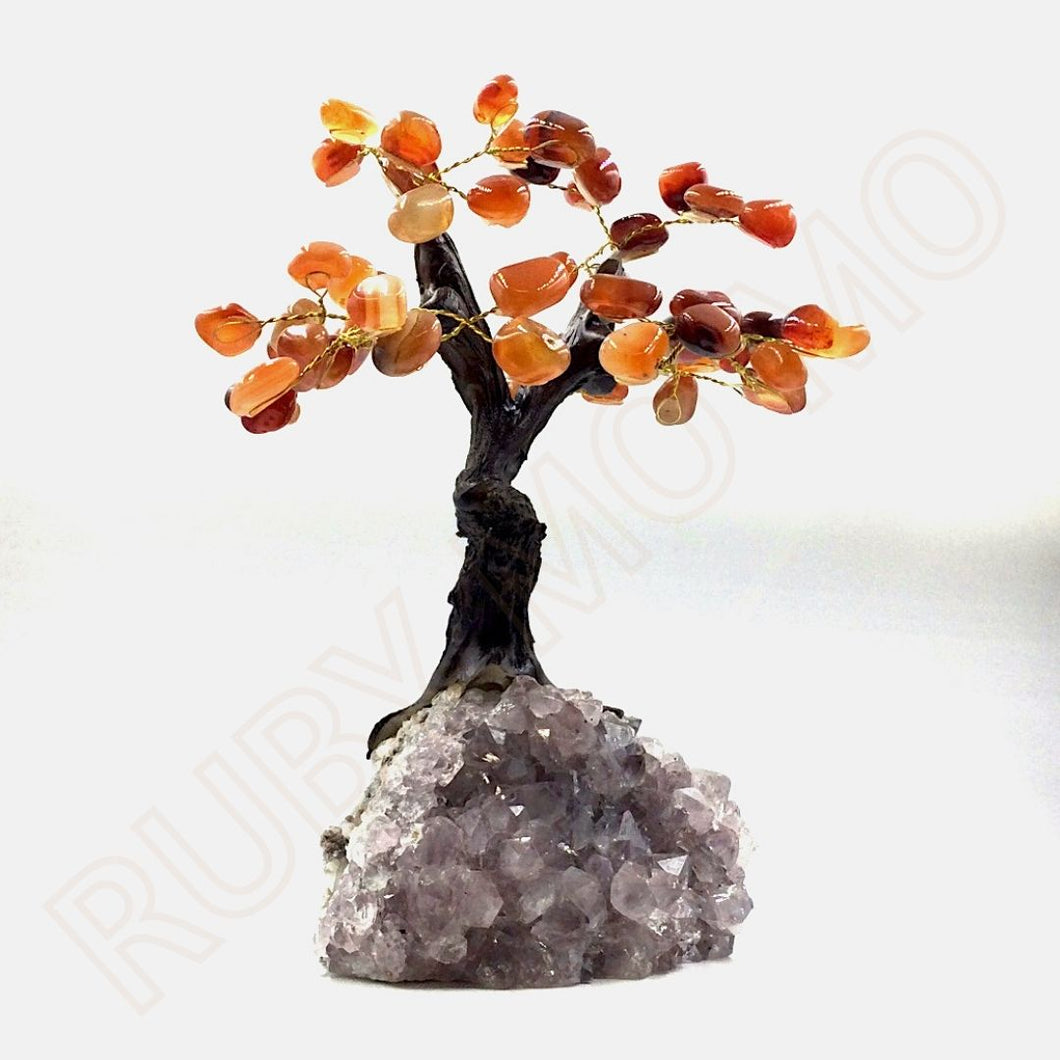 Carnelian Gemstone Trees with Amethyst Base