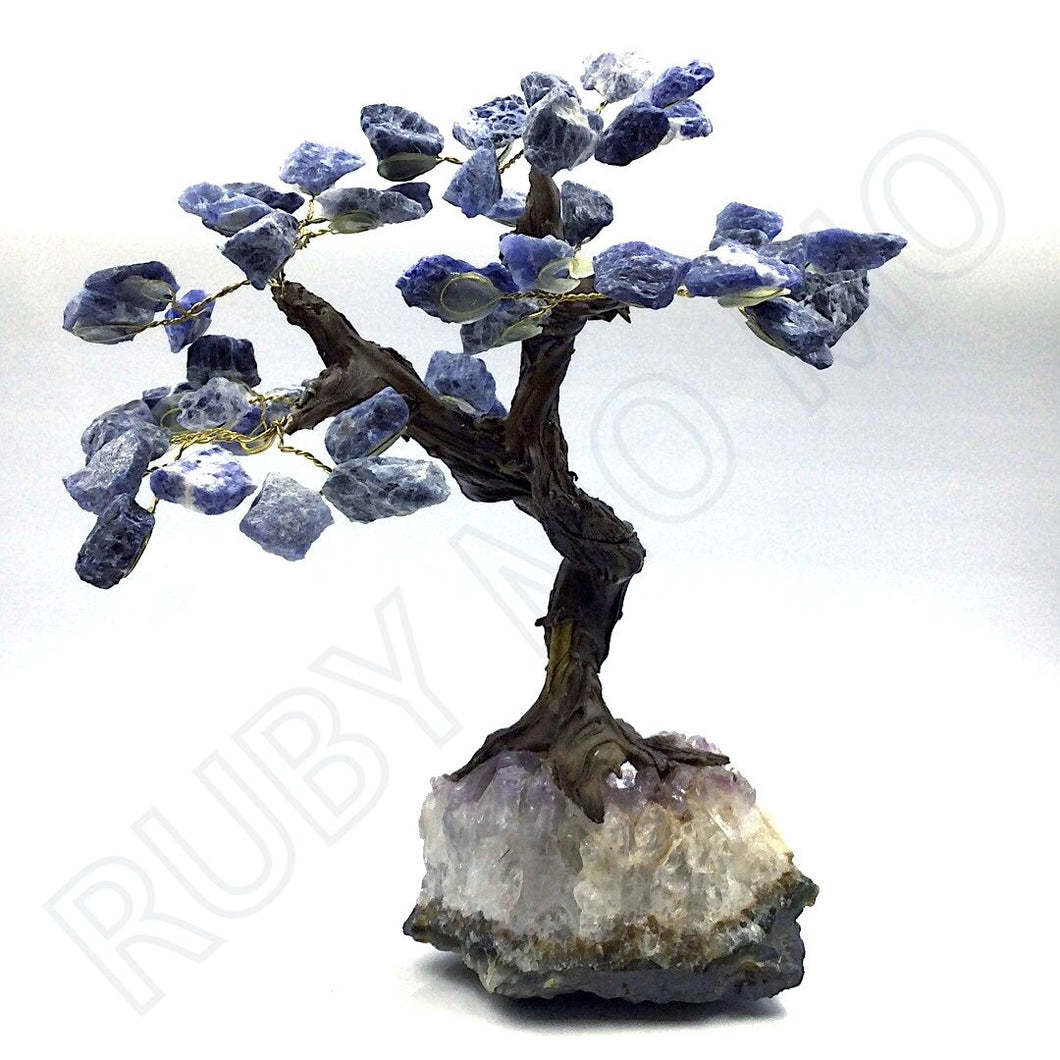 Sodalite Gemstone Tree in Amethyst Base