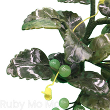 Load image into Gallery viewer, Jade Grape Tree (Medium)
