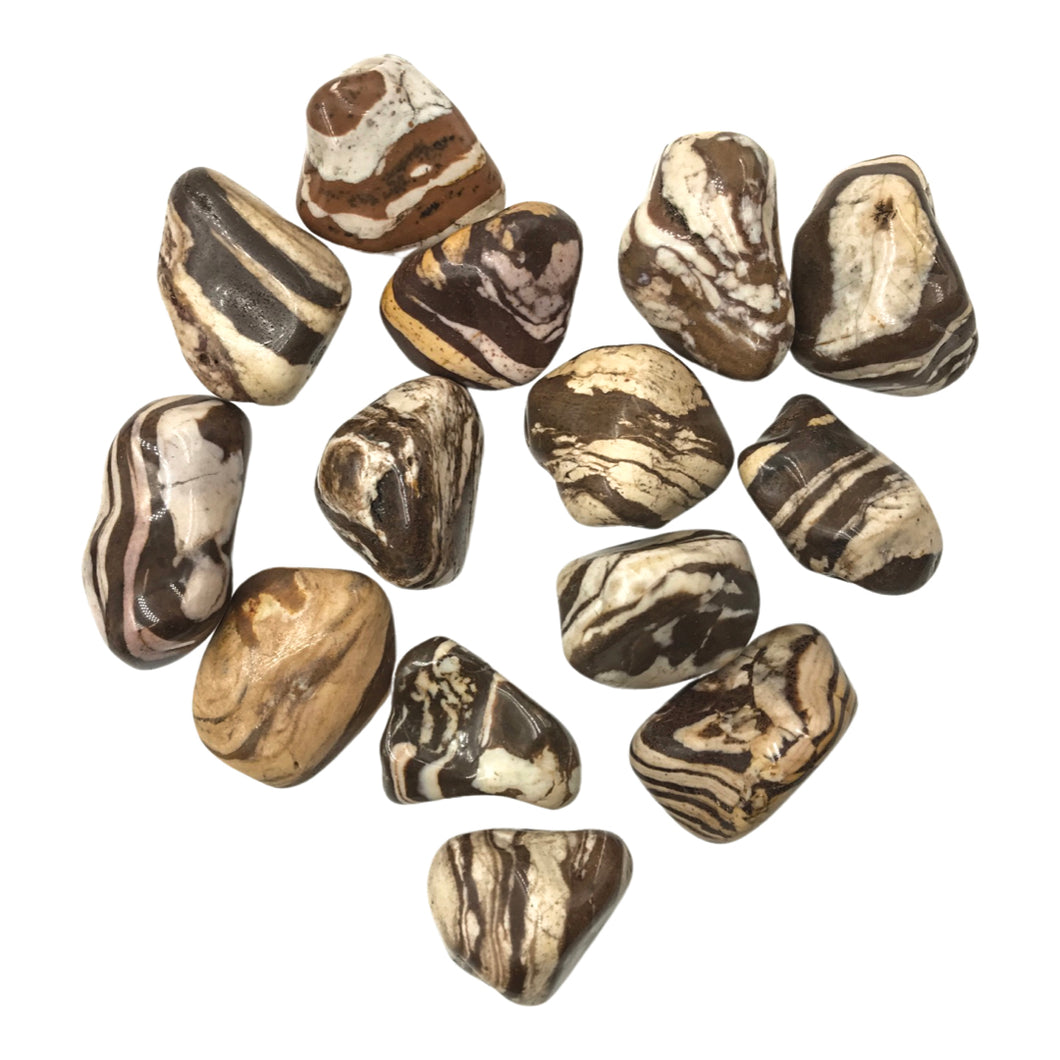 Zebra Jasper Tumbled