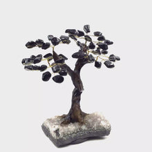 Cargar y reproducir el video en el visor de la galería, 360 view of Black Tourmaline Gemstone Tree with quartz base big
