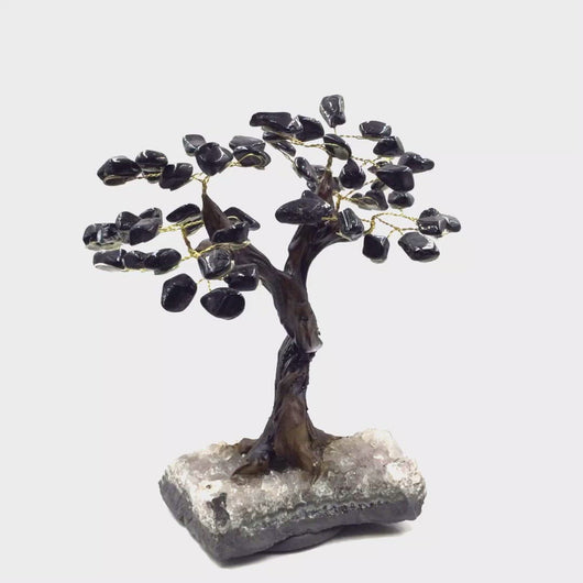 360 view of Black Tourmaline Gemstone Tree with quartz base big