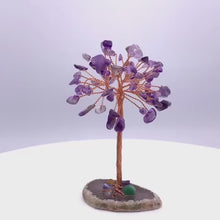 Cargar y reproducir el video en el visor de la galería, 360 video of Amethyst Tree with Agate Base

