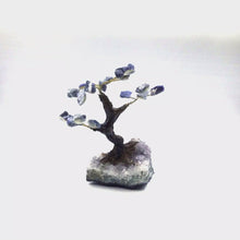 Cargar y reproducir el video en el visor de la galería, Sodalite Gemstone Tree in Amethyst Base
