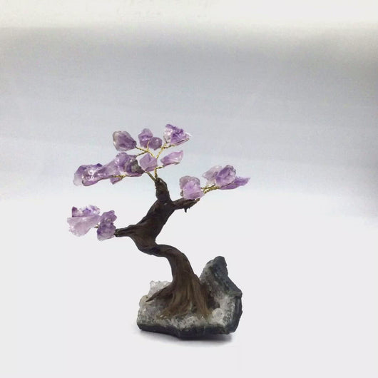 360 Video of Amethyst Tree of Life (Medium)