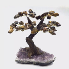 Cargar y reproducir el video en el visor de la galería, Yellow Tiger&#39;s Eye Gemstone Tree in Amethyst Base
