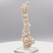 Load and play video in Gallery viewer, Coral sculpture from republic period
