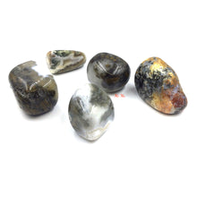 Load image into Gallery viewer, Ocean Jasper Tumbled
